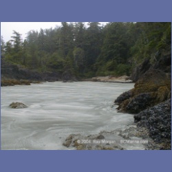 2002_314_Rugged_Point_KyuquotSound.html