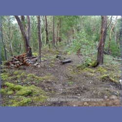 2005_0013_Ruxton_Island.html