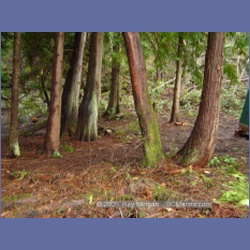 2005_0027_Ruxton_Island.html