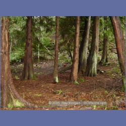 2005_0028_Ruxton_Island.html