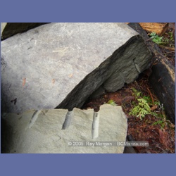 2005_0069_Ruxton_Island.html
