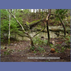 2005_0074_Ruxton_Island.html