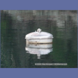 2005_0136_Ruxton_Island.html