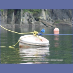 2005_0248_Ruxton_Island.html