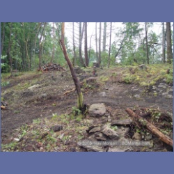 2005_0285_Ruxton_Island.html
