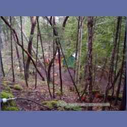 2005_0291_Ruxton_Island.html