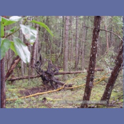 2005_0297_Ruxton_Island.html