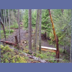 2005_0299_Ruxton_Island.html
