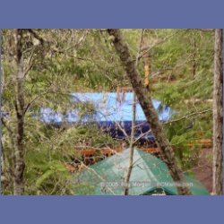 2005_0301_Ruxton_Island.html