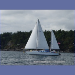 2005_2418_SV_Elske.html
