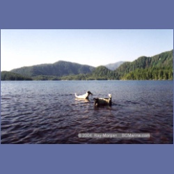 1998_sagar_lake34.html