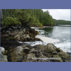 2004_6786_Sans_Peur_Passage_Cultus_Sound.html