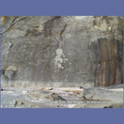 2004_6075_Saturna_Island.html