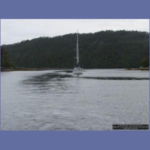 2006_2071_Scow_Bay_Beauchamp_Island_AK.JPG