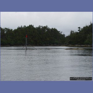 2006_2072_Scow_Bay_Beauchamp_Island_AK.JPG