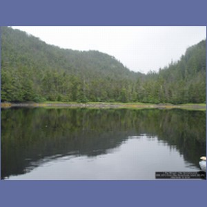 2006_2074_Scow_Bay_Beauchamp_Island_AK.JPG