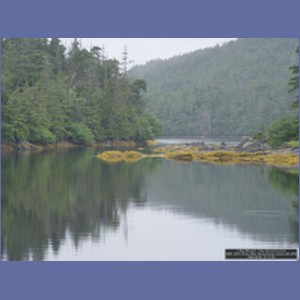 2006_2076_Scow_Bay_Beauchamp_Island_AK.JPG