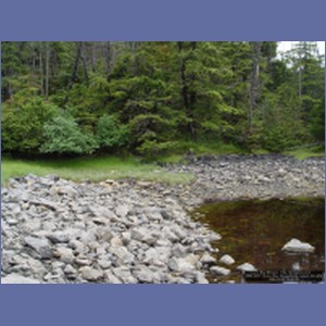 2006_2077_Scow_Bay_Beauchamp_Island_AK.JPG