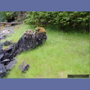 2006_2079_Scow_Bay_Beauchamp_Island_AK.JPG