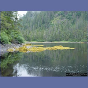 2006_2080_Scow_Bay_Beauchamp_Island_AK.JPG