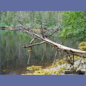 2006_2082_Scow_Bay_Beauchamp_Island_AK.JPG