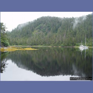 2006_2084_Scow_Bay_Beauchamp_Island_AK.JPG
