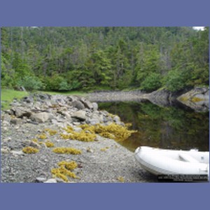 2006_2085_Scow_Bay_Beauchamp_Island_AK.JPG
