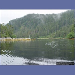 2006_2086_Scow_Bay_Beauchamp_Island_AK.JPG