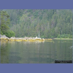 2006_2087_Scow_Bay_Beauchamp_Island_AK.JPG