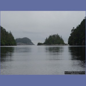 2006_2089_Scow_Bay_Beauchamp_Island_AK.JPG