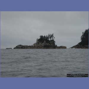2006_2093_Scow_Bay_Beauchamp_Island_AK.JPG