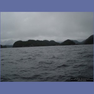 2006_2095_Scow_Bay_Beauchamp_Island_AK.JPG