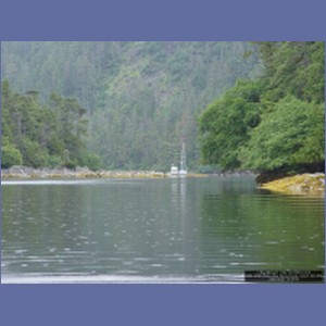 2006_2096_Scow_Bay_Beauchamp_Island_AK.JPG