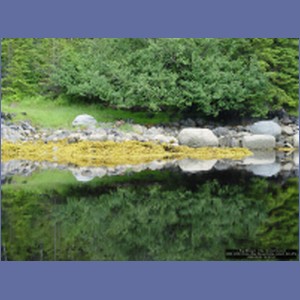 2006_2098_Scow_Bay_Beauchamp_Island_AK.JPG