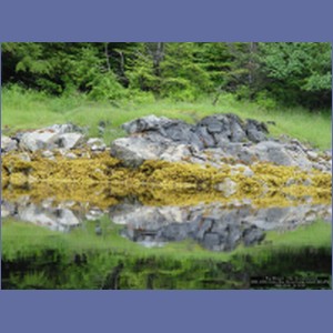 2006_2099_Scow_Bay_Beauchamp_Island_AK.JPG