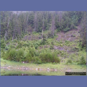 2006_2100_Scow_Bay_Beauchamp_Island_AK.JPG