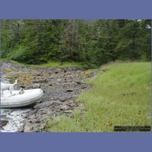 2006_2102_Scow_Bay_Beauchamp_Island_AK.JPG