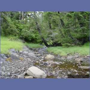 2006_2103_Scow_Bay_Beauchamp_Island_AK.JPG