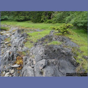 2006_2106_Scow_Bay_Beauchamp_Island_AK.JPG