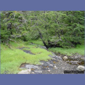 2006_2108_Scow_Bay_Beauchamp_Island_AK.JPG