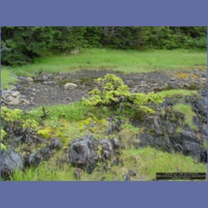 2006_2109_Scow_Bay_Beauchamp_Island_AK.JPG