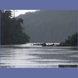 2006_2112_Scow_Bay_Beauchamp_Island_AK.JPG