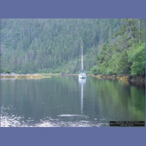2006_2113_Scow_Bay_Beauchamp_Island_AK.JPG