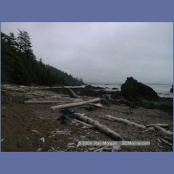 2002_598_Sea_Otter_Cove.html