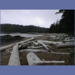 2002_599_Sea_Otter_Cove.html