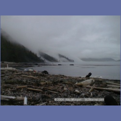 2002_600_Sea_Otter_Cove.html