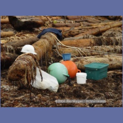 2003_3840_Sea_Otter_Cove.html