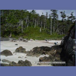 2004_6766_Serpent_Group_Kildidt_Sound.html