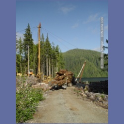 2005_0726_Houghton_Woodlot_Seymour_Inlet.html