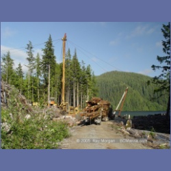 2005_0727_Houghton_Woodlot_Seymour_Inlet.html